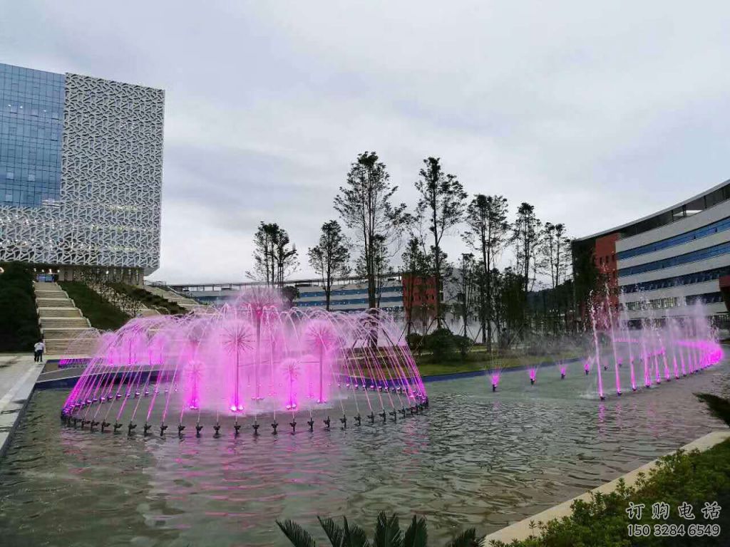 水景花樣噴泉雕塑廠家  娛樂場噴泉裝飾