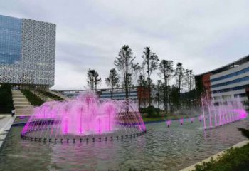 水景花樣噴泉雕塑廠家  娛樂場噴泉裝飾