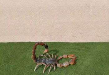 噴漆蝎子雕塑廠家 卡通廣場(chǎng)小品 草地切面蝎子雕塑