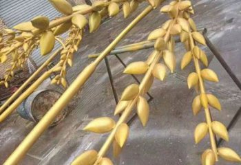 水景水稻雕塑廠 風景區幾何雕塑制作 廣場小品