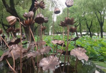 荷花雕塑供應，城區小品，戶外銅荷花雕塑制造商