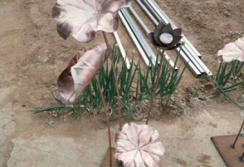 荷葉雕塑展品,室外軟裝,銅荷葉雕塑訂做廠家