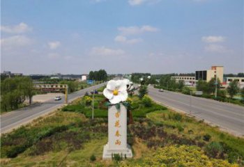 花朵景觀雕塑，美陳建筑雕塑，不銹鋼烤漆花朵雕塑廠家