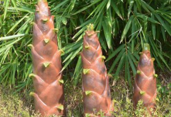 竹筍雕塑預(yù)定，創(chuàng)意雕塑，不銹鋼竹筍雕塑選用