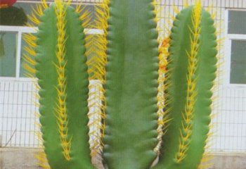 棗莊庭院仙人掌雕塑